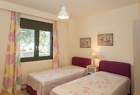 Olive Tree Farm