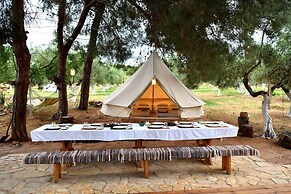 Cocoon Tent in an Olive Grove