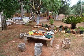 Cocoon Tent in an Olive Grove
