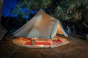 Cocoon Tent in an Olive Grove