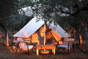 Cocoon Tent in an Olive Grove