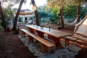 Cocoon Tent in an Olive Grove