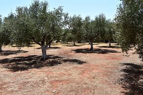 Cocoon Tent in an Olive Grove