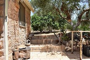 Cocoon Tent in an Olive Grove
