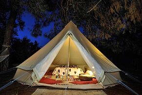 Cocoon Tent in an Olive Grove