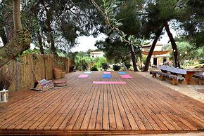 Cocoon Tent in an Olive Grove