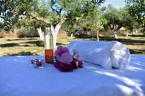 Cocoon Tent in an Olive Grove