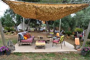 Cocoon Tent in an Olive Grove