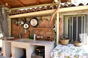 Cocoon Tent in an Olive Grove