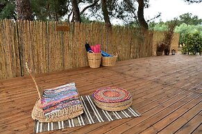 Cocoon Tent in an Olive Grove
