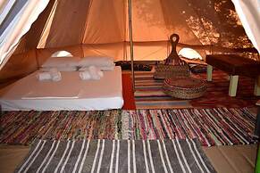 Cocoon Tent in an Olive Grove
