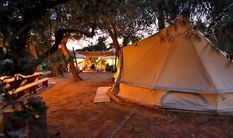 Cocoon Tent in an Olive Grove