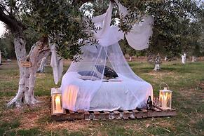 Cocoon Tent in an Olive Grove
