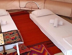Cocoon Tent in an Olive Grove