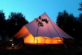 Cocoon Tent in an Olive Grove