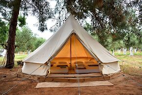 Cocoon Tent in an Olive Grove