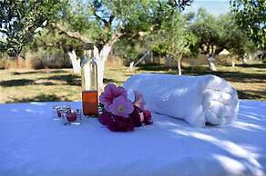Cocoon Tent in an Olive Grove