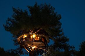 Stunning Treehouse 10 Mins From Sandy Beaches