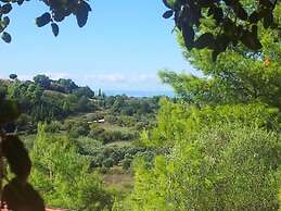 Stunning Treehouse 10 Mins From Sandy Beaches
