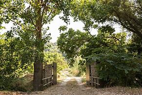 Stunning Treehouse 10 Mins From Sandy Beaches