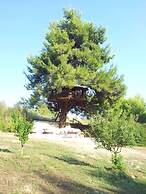 Stunning Treehouse 10 Mins From Sandy Beaches
