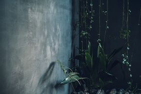Nozomu House Kyoto