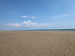 Clear View