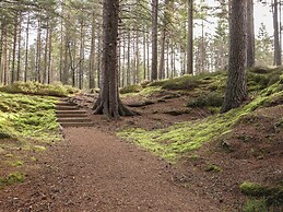 Bynack - Mar Lodge Estate