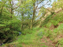 Glyn Yr Efail
