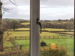 The Outlook