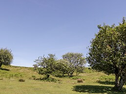 The Outlook