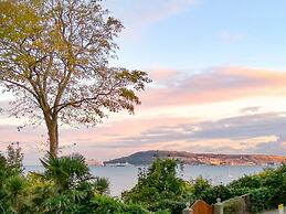 Castle Cove View