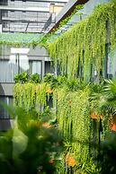 Chi House Danang