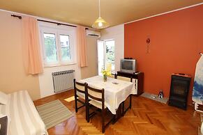 Apartment Rokov