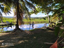Room-method Living Tropical Edition 5002