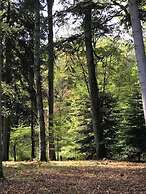 Domaine de la Vaudourière