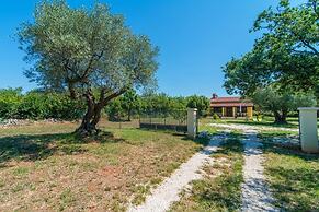 Holiday House Val Vidal
