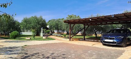 Holiday Homes Marta