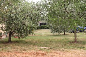Holiday Homes Marta