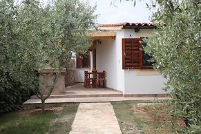 Holiday Homes Marta