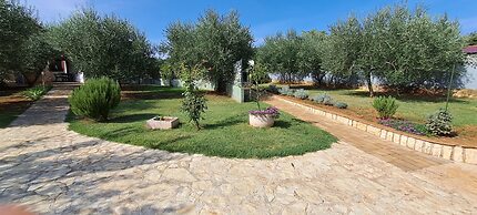 Holiday Homes Marta