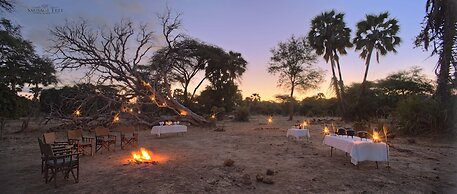 Sausage Tree Camp