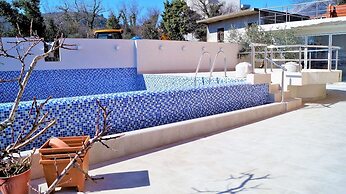 Vila Ivanovic