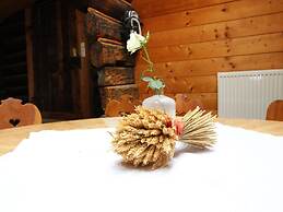 Chalet in Rauris Near Ski Paradise