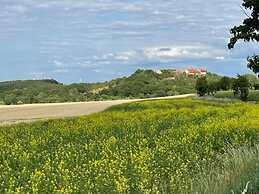 Holiday Home With Terrace in Falkenstein