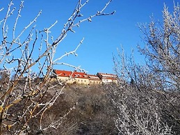 Holiday Home With Terrace in Falkenstein