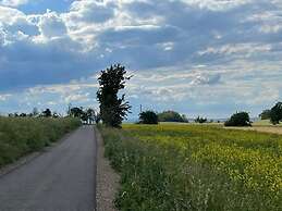 Holiday Home With Terrace in Falkenstein