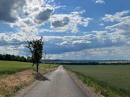 Holiday Home With Terrace in Falkenstein