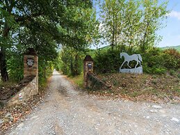 Holiday Home in Ficulle With Pool Access