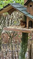 Pleasing Chalet in Stegeren near Forest